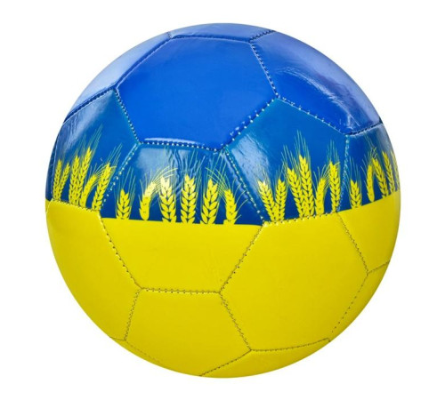 Мяч футбольный "Украина" (EV-3378)